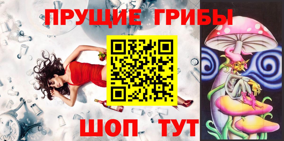 Галлюциногенные грибы Psilocybe  Вход с VPN  Псилоцибиновые грибы Psilocybe  Волгоград 