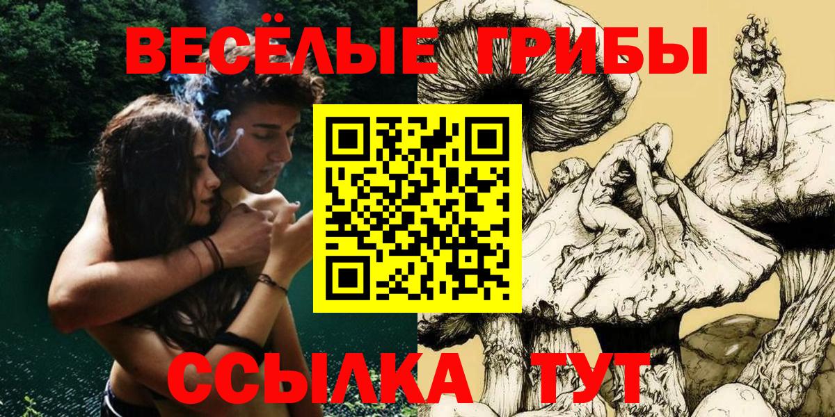 Галлюциногенные грибы мухоморы Волгоград